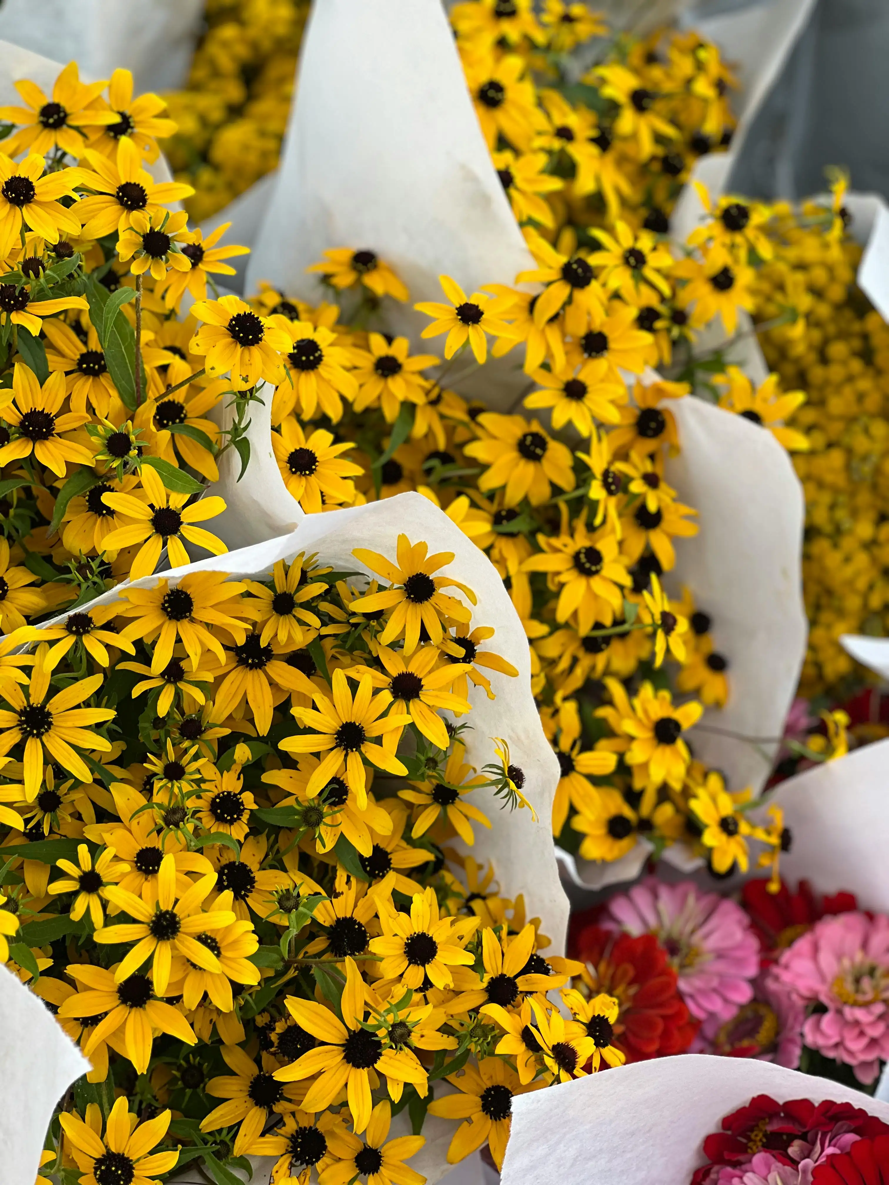 Australian market scene 6