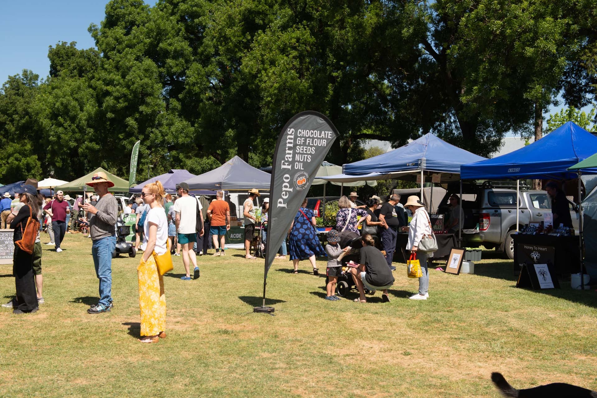 Castlemaine Farmers' Market