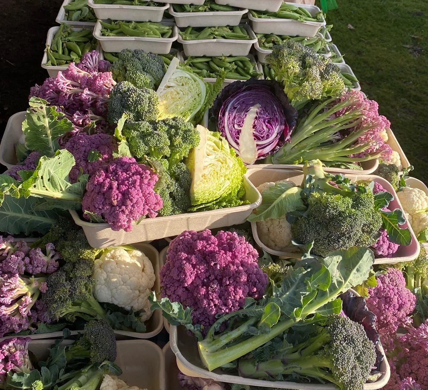 Margaret River Farmers Market