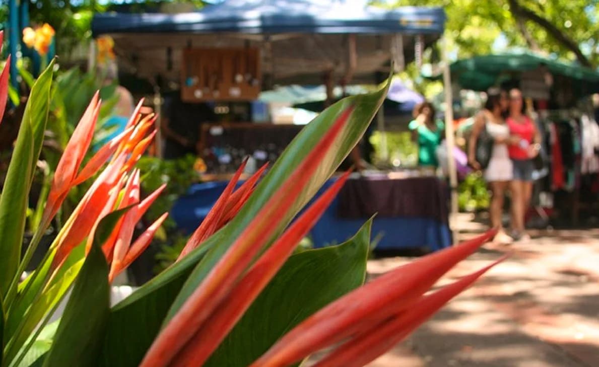 Nightcliff Markets