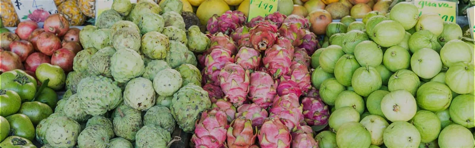 Rusty's Markets