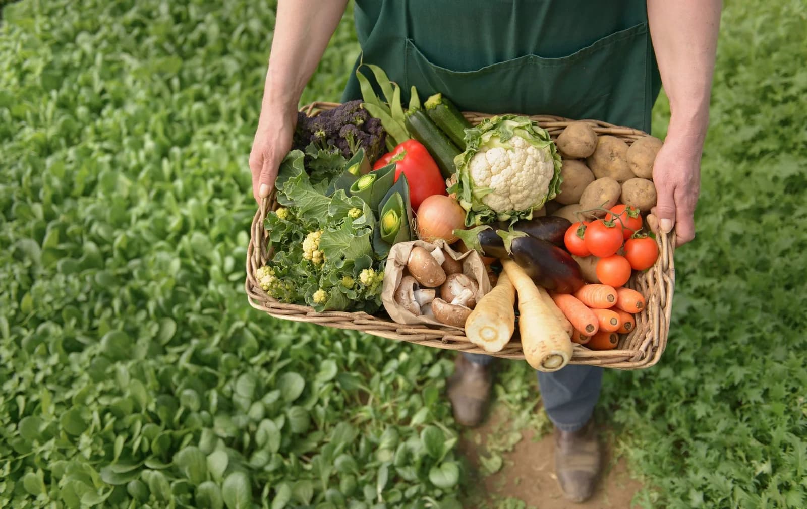 Coffs Coast Growers Market