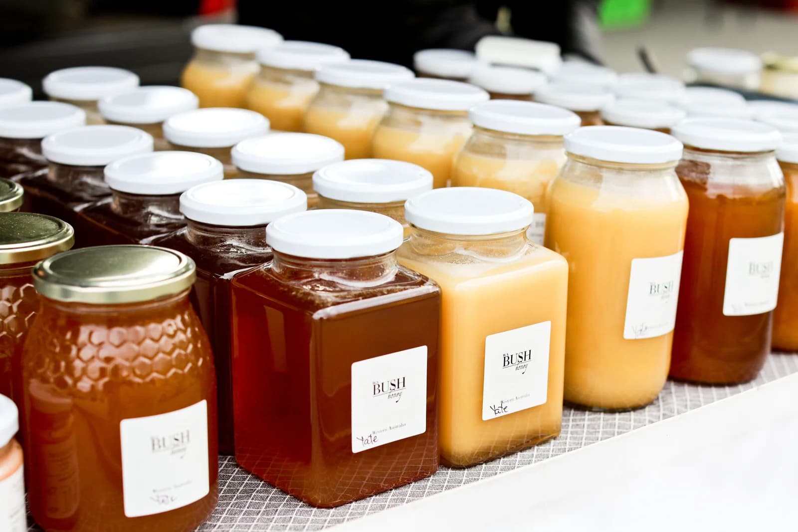 Albany Farmers Market