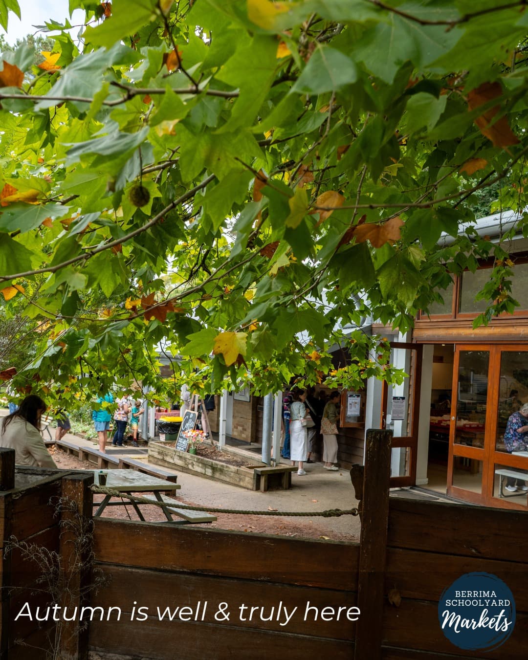 Berrima Schoolyard Market