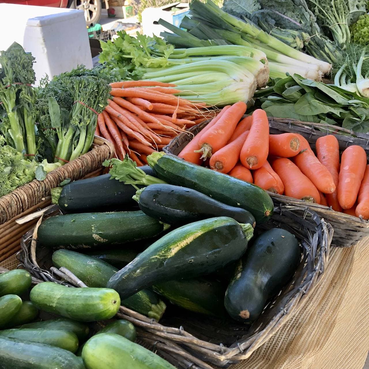Seasonal vegetables and produce at a farmers market