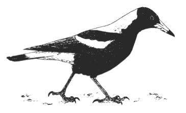Magpie Up Style Market logo