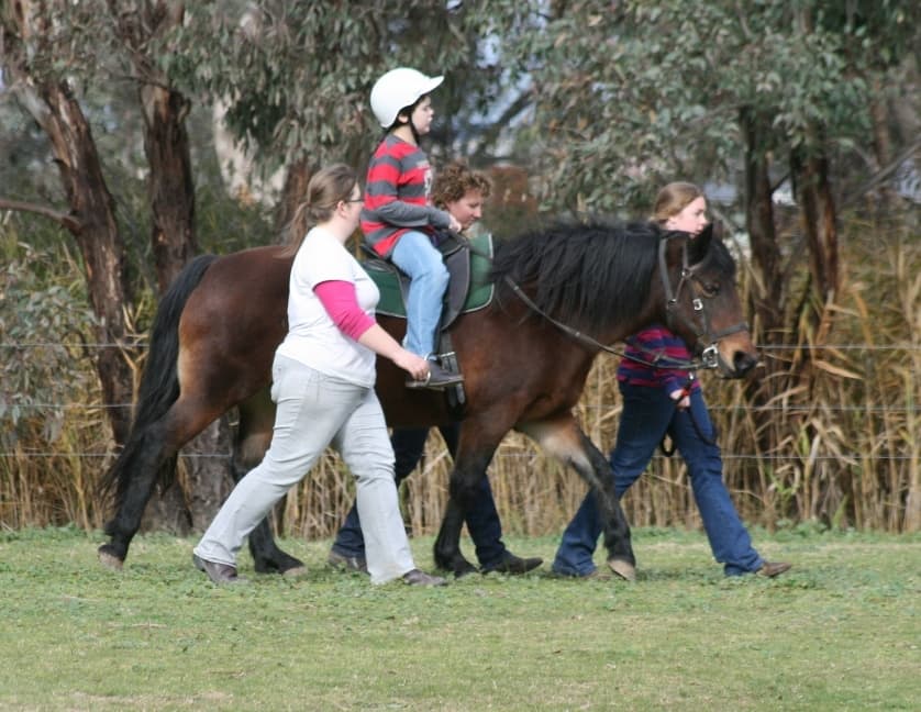 Riding for the Disabled Wagga Car Boot Sale
