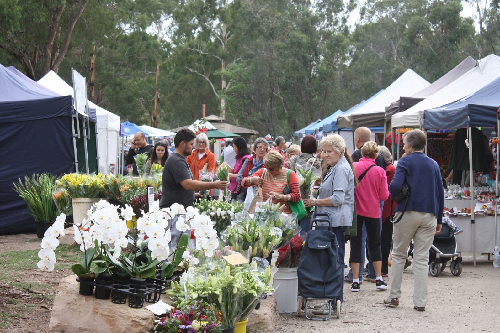 Warrandyte Riverside Market