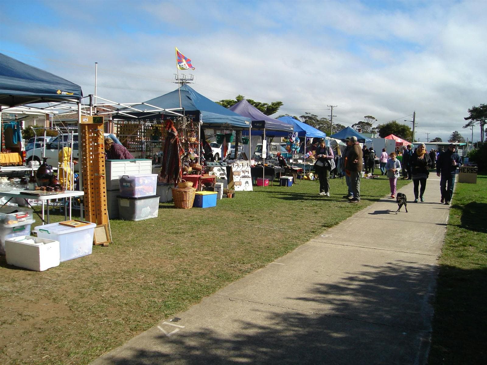 Wynyard Foreshore Market
