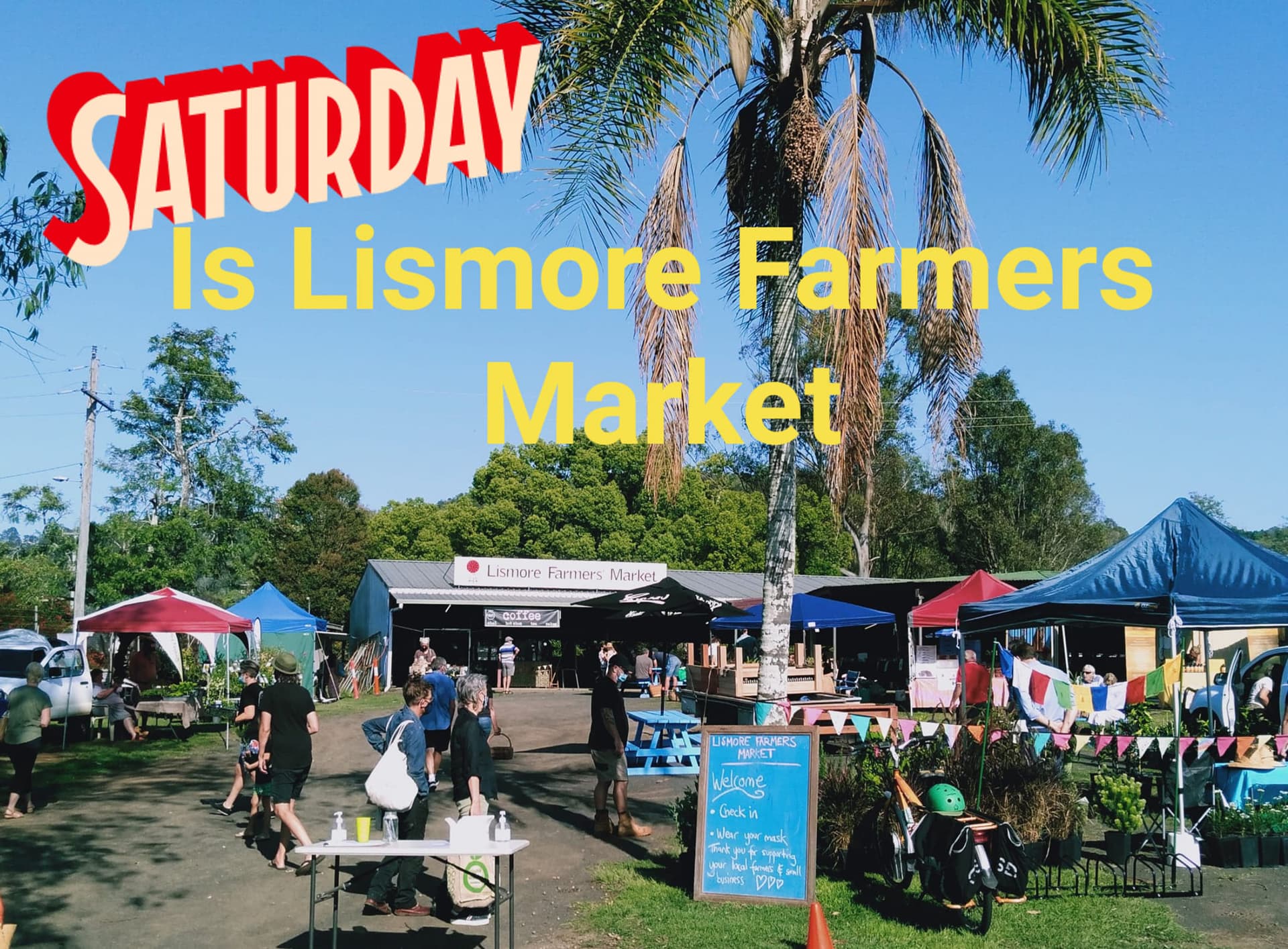 Lismore Farmers Market