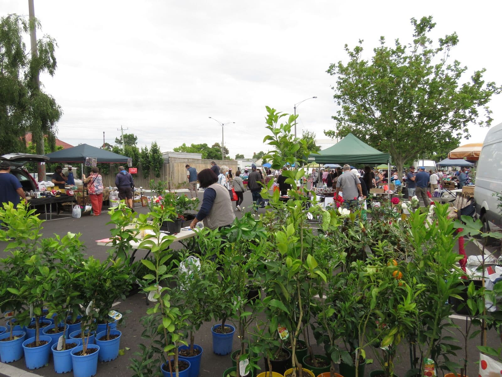 Oakleigh Rotary Sunday Market