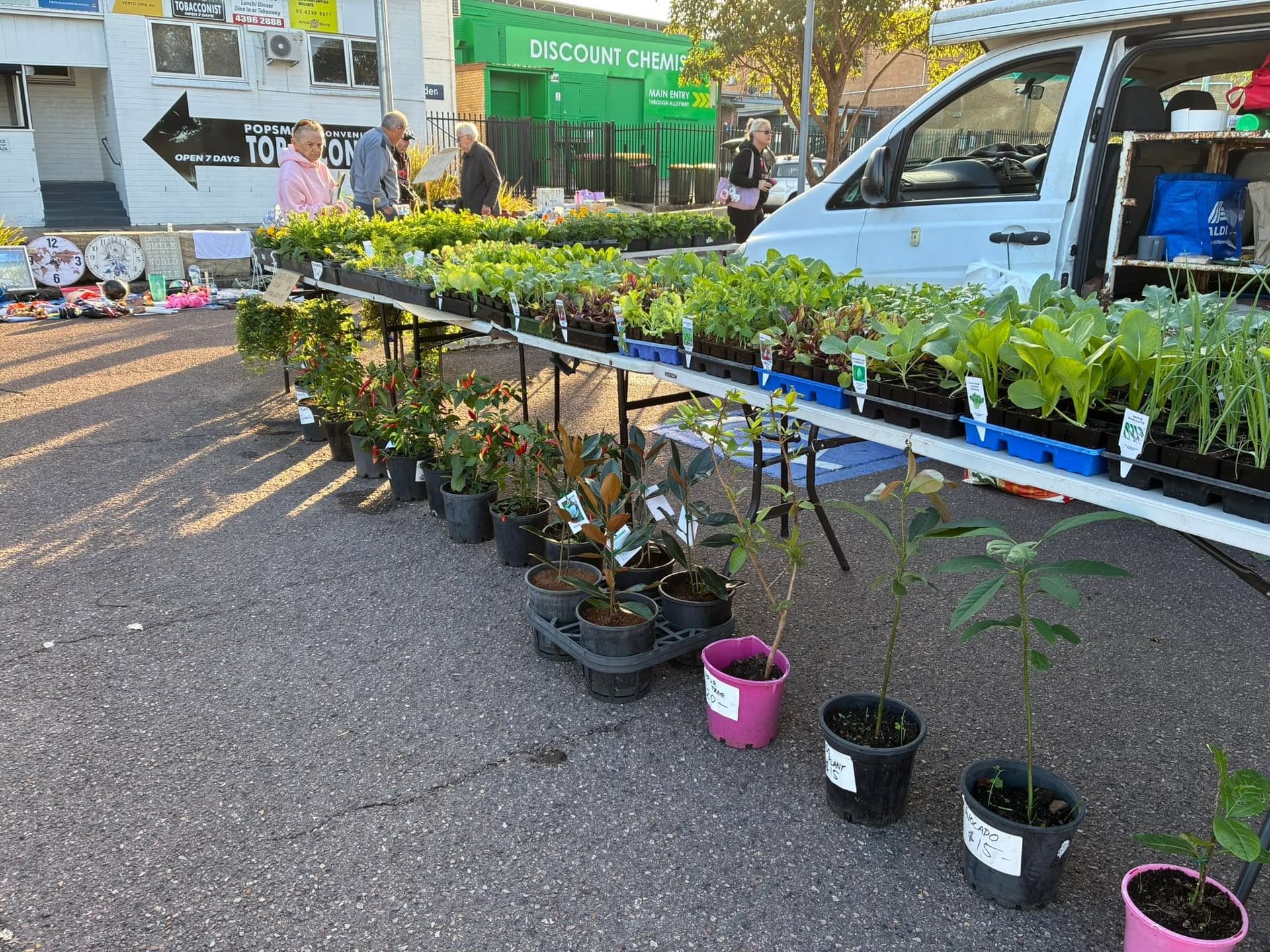 Toukley Lions Markets