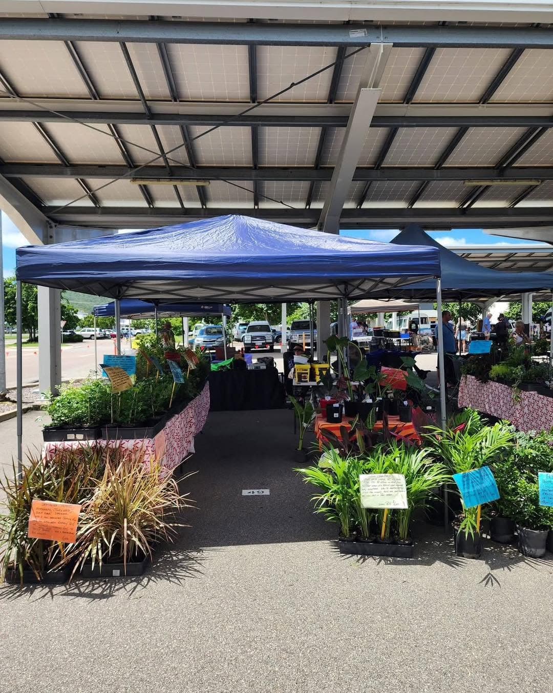 Willows Rotary Markets