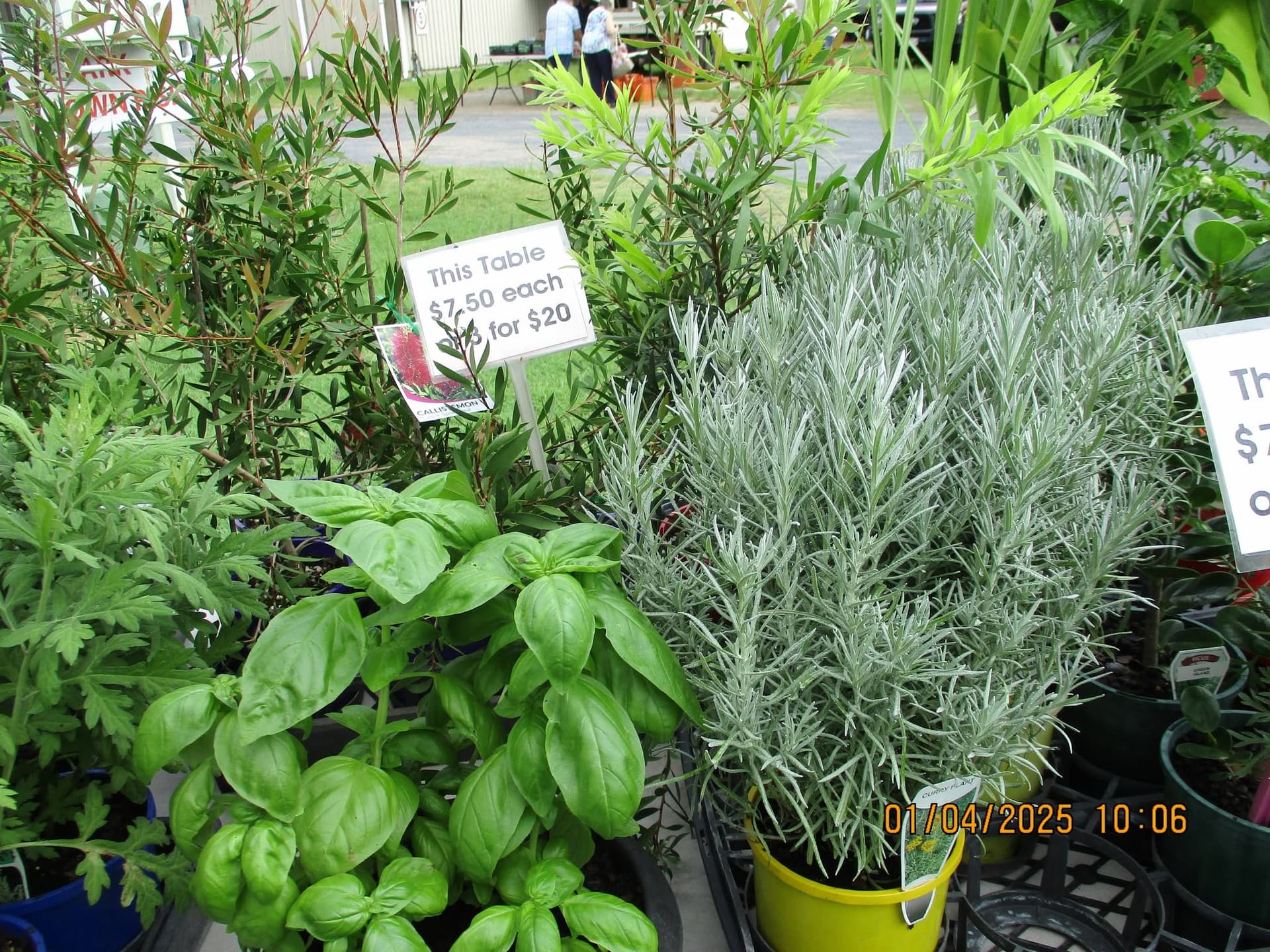 Yeppoon Community Market