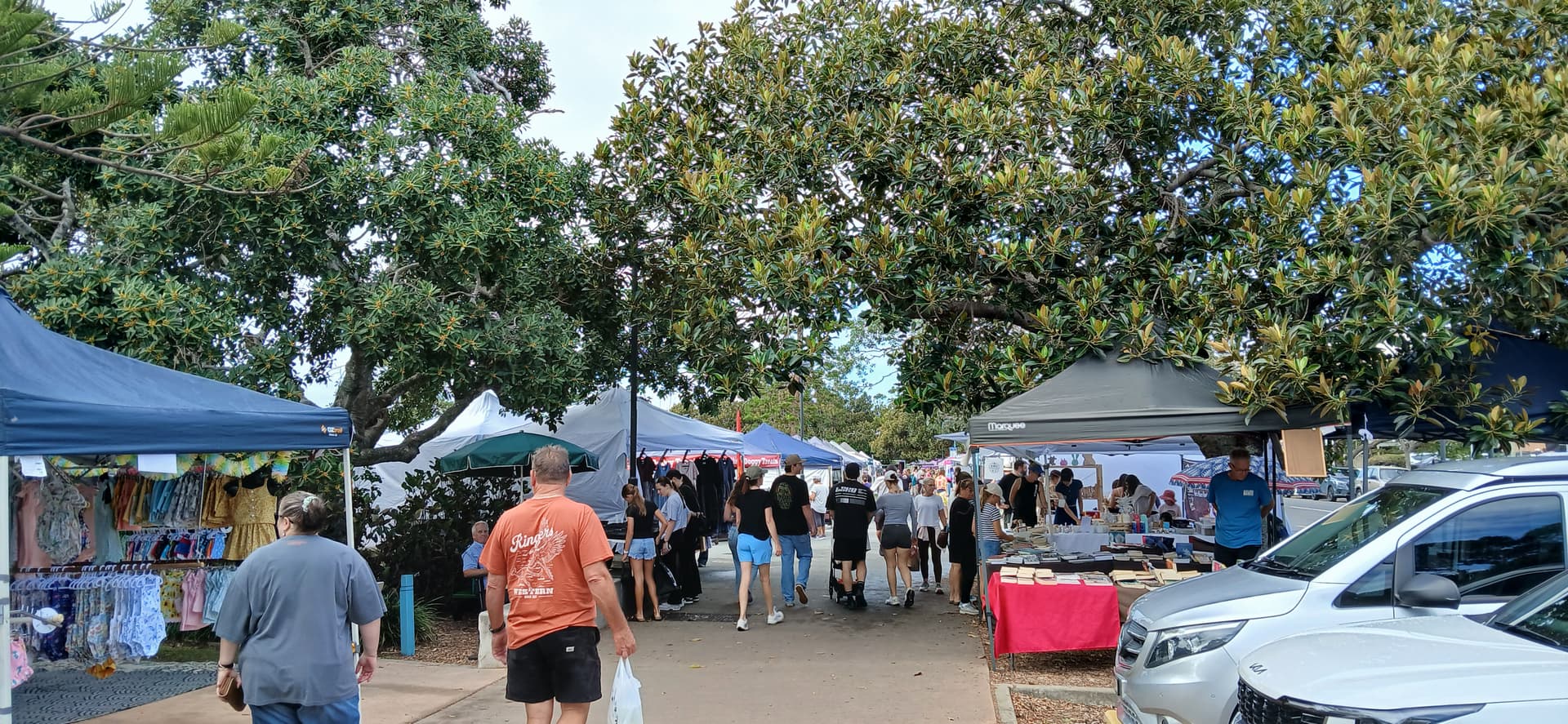 Manly Creative Market
