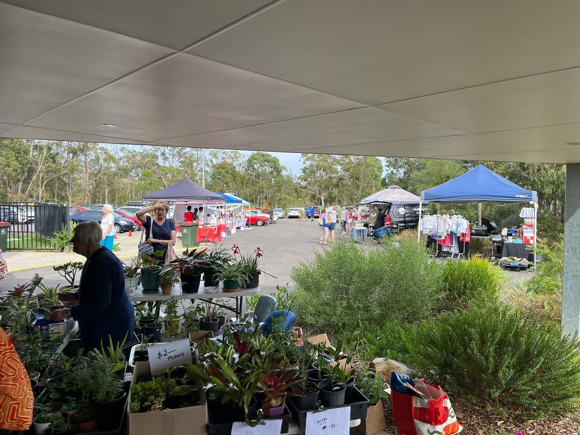 Warnervale Community Market Day