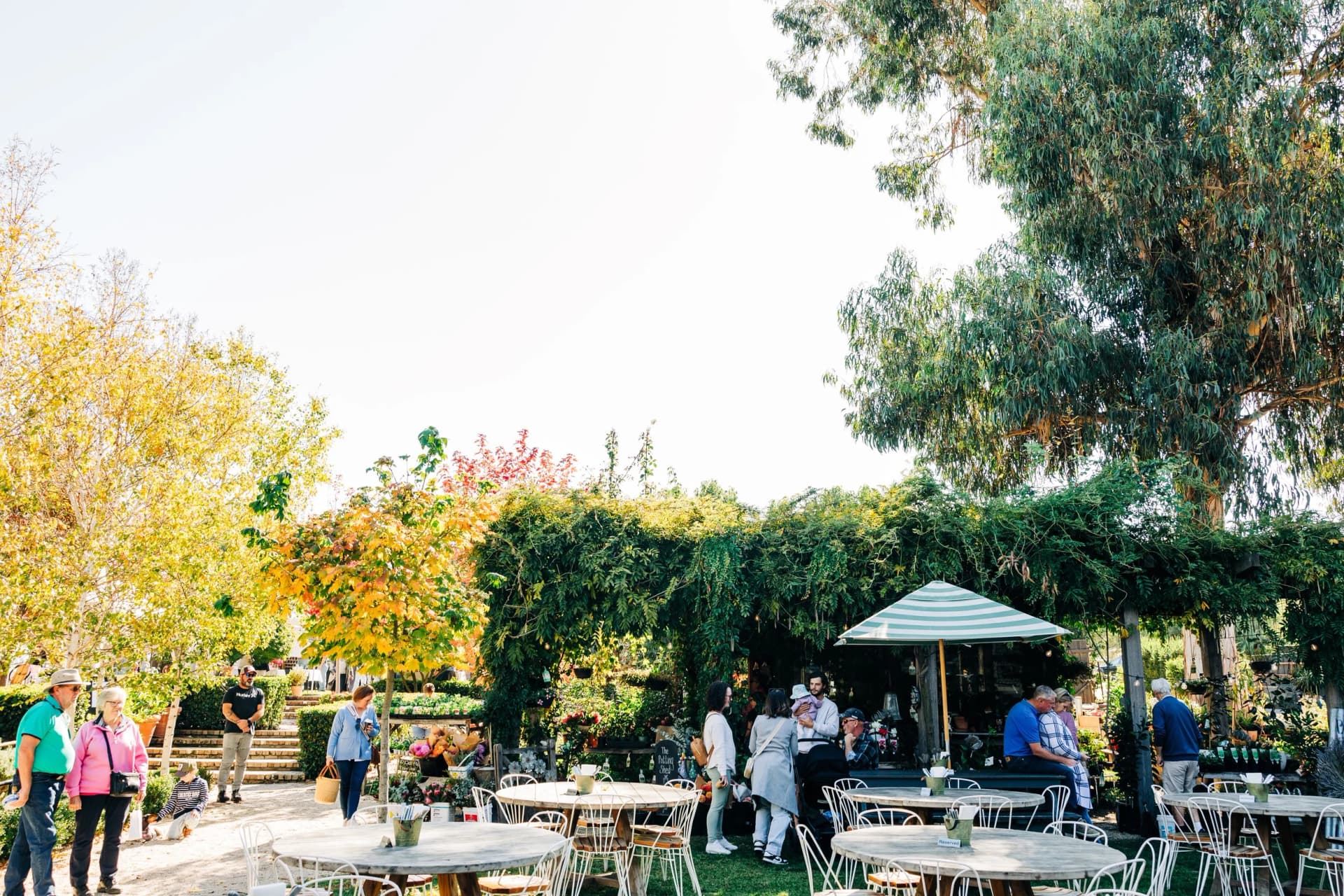 The Sir George Markets