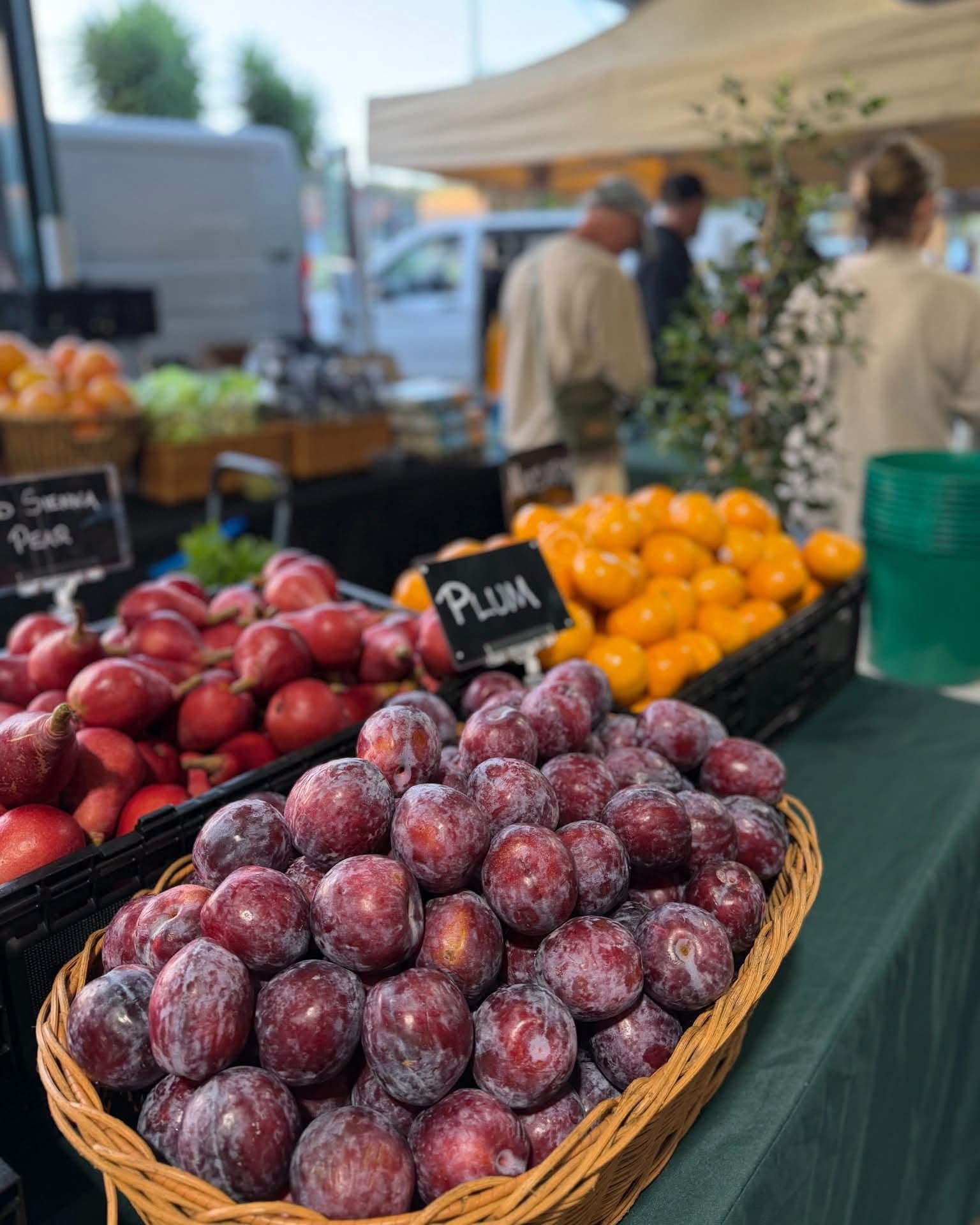 The Central Coast Farmers Market