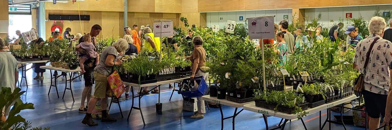 Spring Native Plants Market Belmont