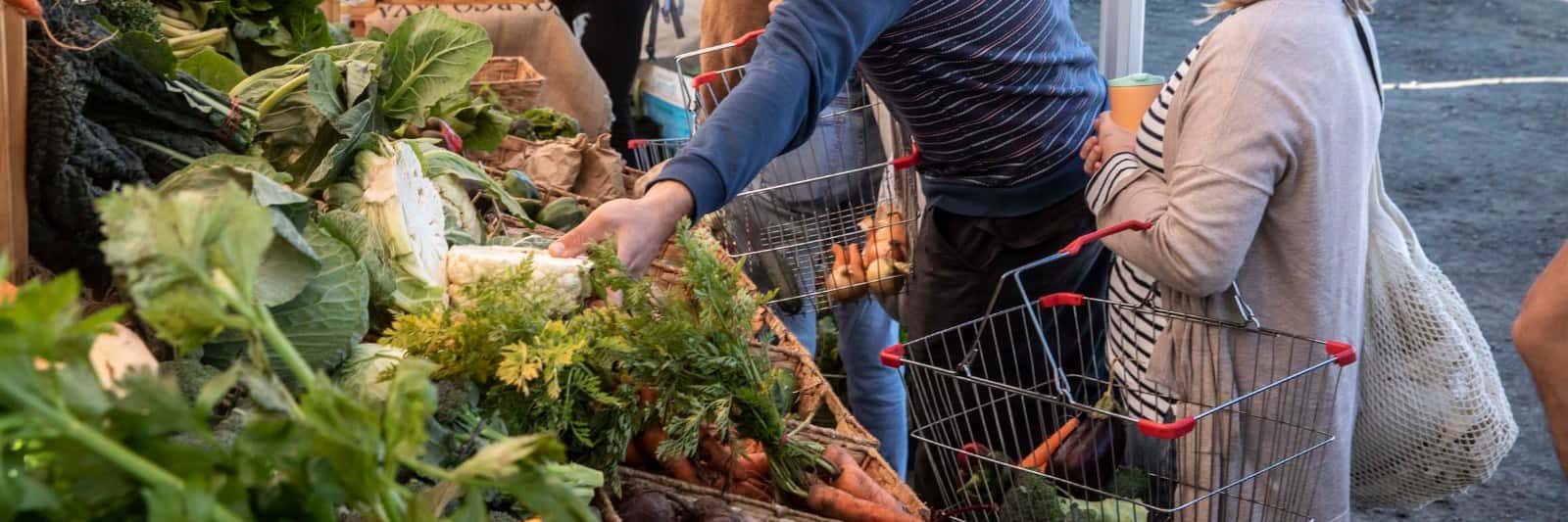 Alphington Farmers' Market