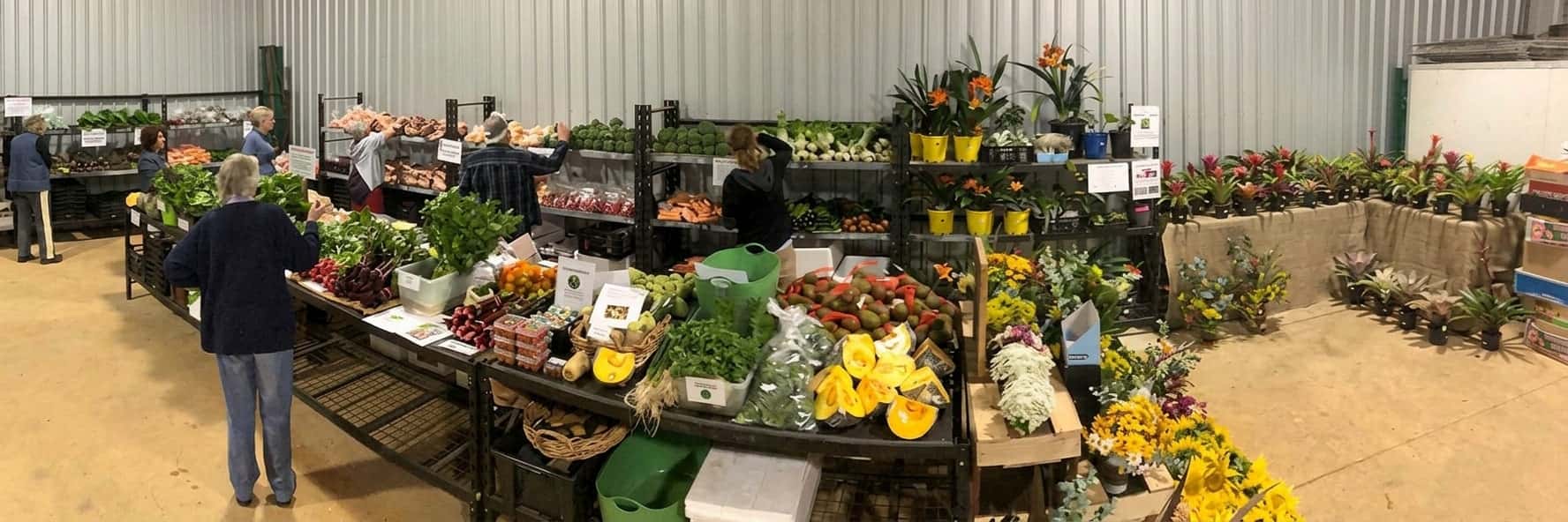 The Green Shed Tamborine Mountain