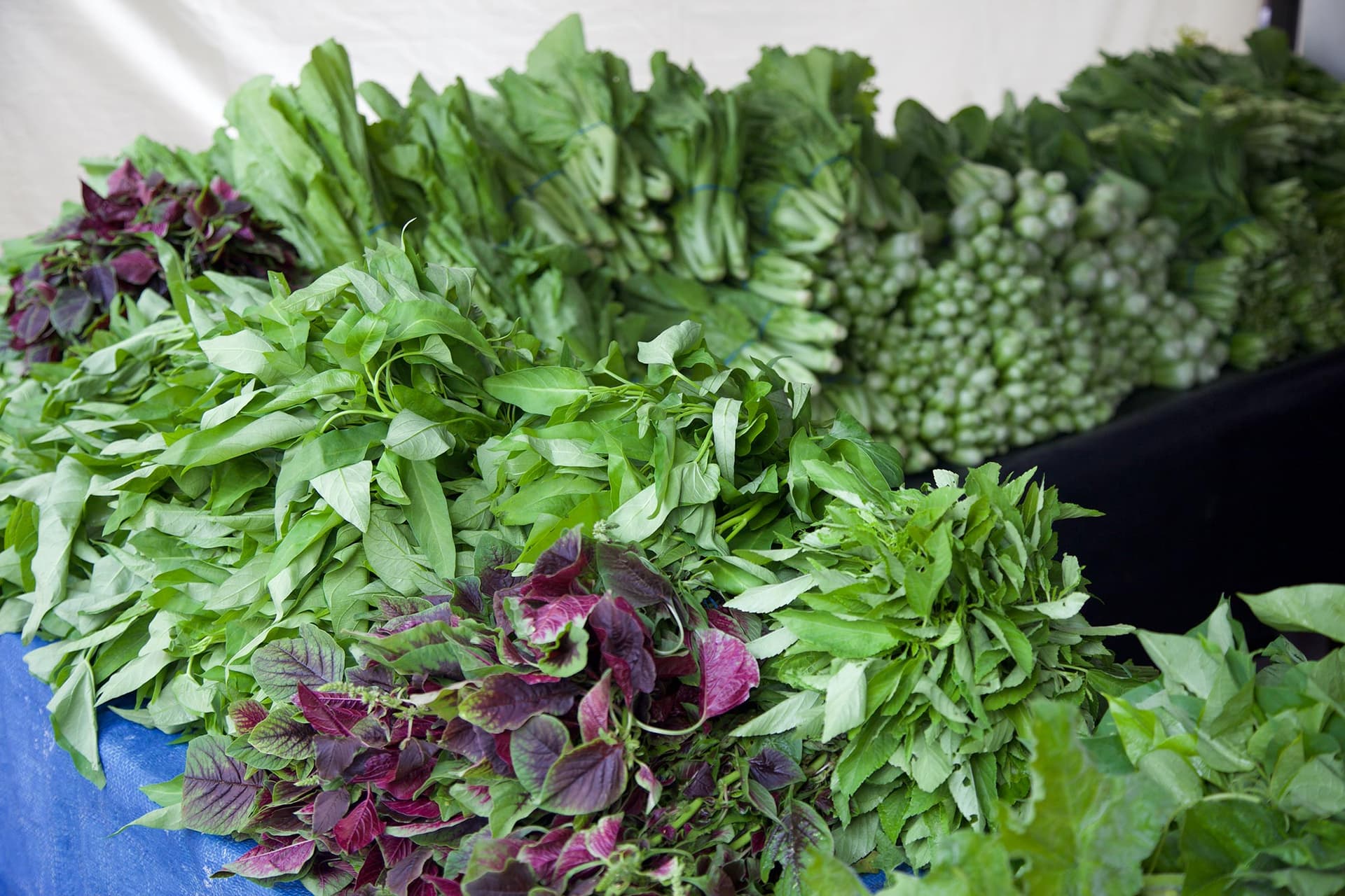 Kelvin Grove Village Markets