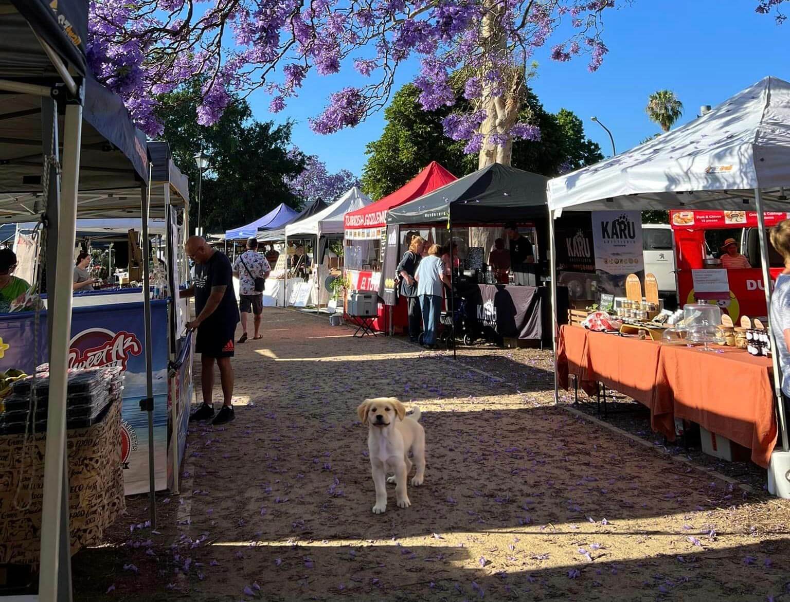 Richmond Good Food Market