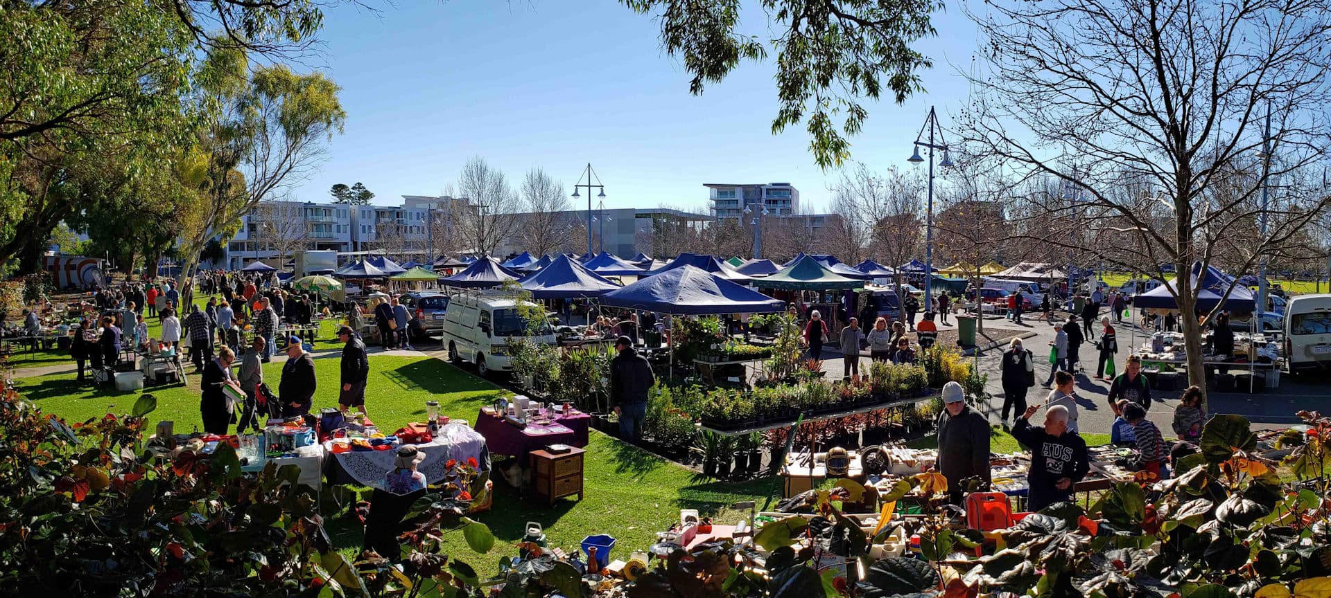 Rockingham Rotary Market